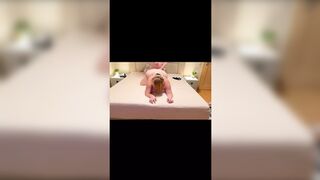 I Slay It Like A Pro In This Canine Cunnilingus Session