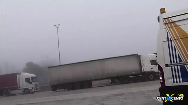 Two Marpions Lick Her Pussy🌮️