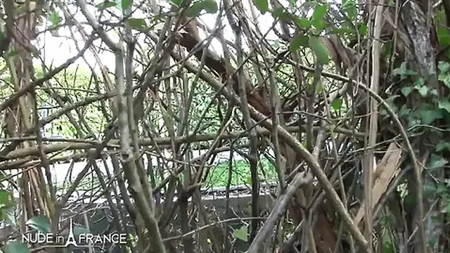 Mature bourgeoise shows us around her house and her ass at the same time