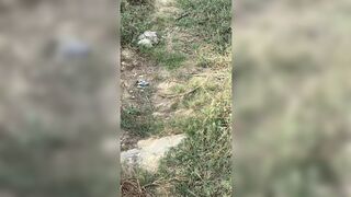 GF's Surprise Visit Led to This Video