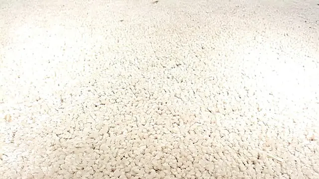 Hot Blonde MILF Tastes Her boyfriend′s Cock🍆