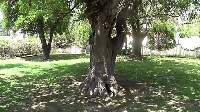 Hot milfs Shay Fox and Karen Fisher seduce Captain USA