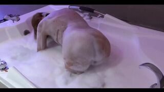 My Friend's Beautiful Wife Enjoys the Jacuzzi in the Motel Before Fucking Her, She Loves Cock