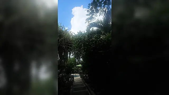 Sweet tropical bliss - pure passion in the sun