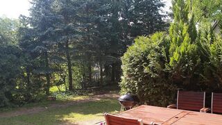 The tale of my hairy cunt