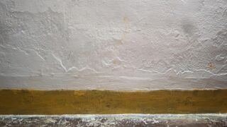 Busty Boobs Horny Sister in Law Fuck