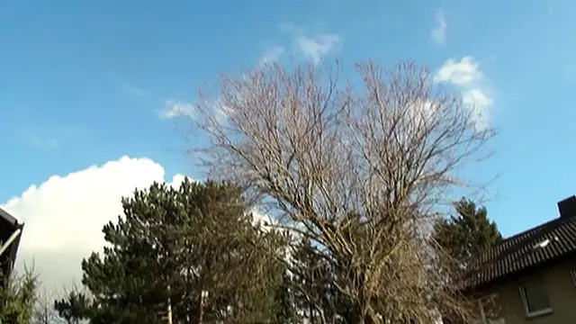 Sexy tattooed mature gets her pussy smashed hard