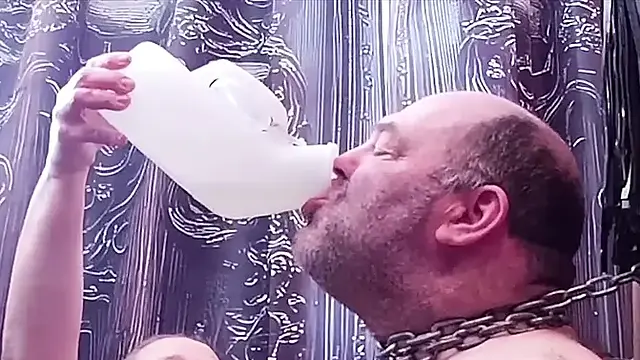 Part 2:- The results of the vote's are in! Domina or Booboo?