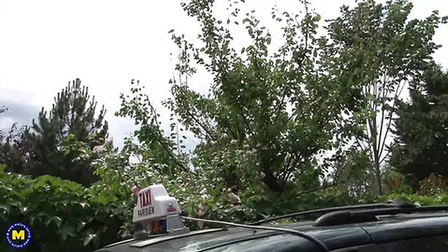 Naughty Mom Getting Anal and A Good Hard Fuck from Her Taxidriver